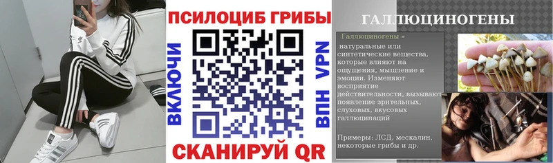 Псилоцибиновые грибы Psilocybine cubensis  KRAKEN сайт  Калач-на-Дону  купить закладку 